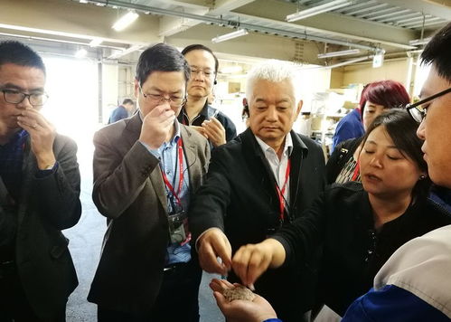 第四屆中日衛生用品企業交流會 廢紙尿褲再利用工廠與回收展示中心考察紀實